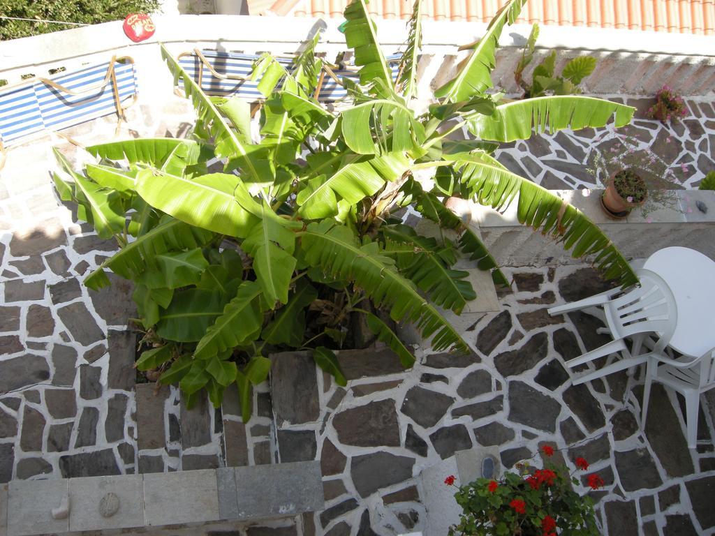 Alkioni Apartment Karlovassi