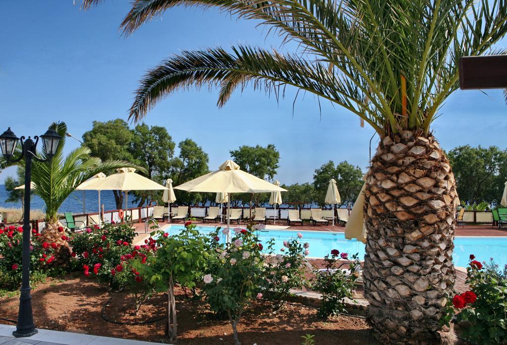 Apartment Irini Hotel