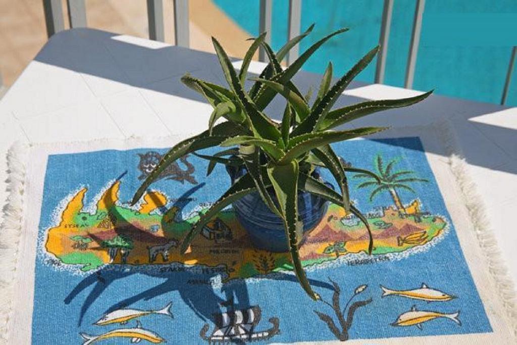 Aptera Paradise Apartment