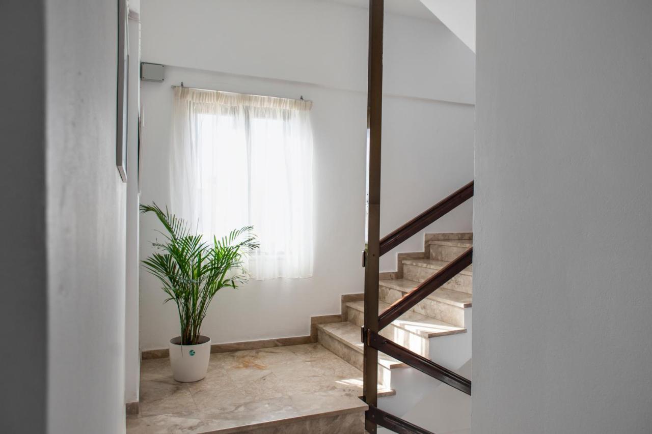 Argo Rooms-papadakis