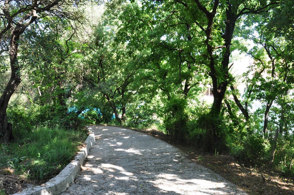 Sun Village (adults Only) 3* Acharavi (Corfu)