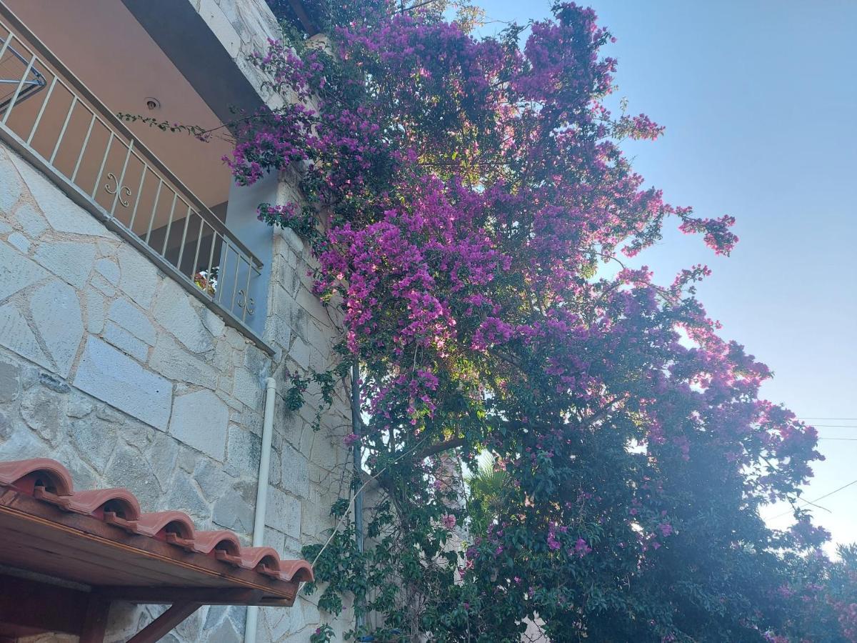 Aristos & Apartment *