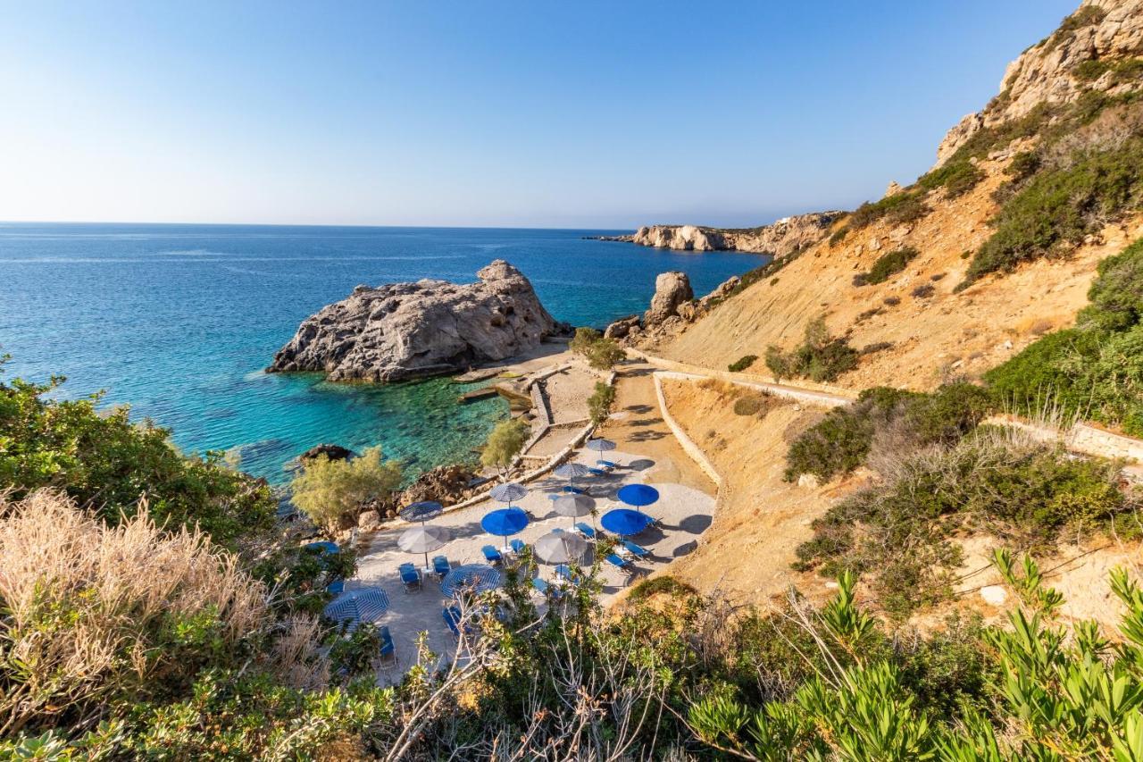 Castelia Bay Amoopi
