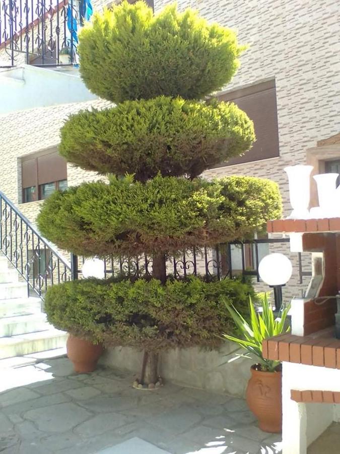 Dina 1 Apartment