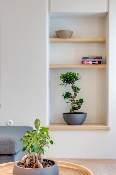 Nomade Vibrant Living Loft Ermoupoli