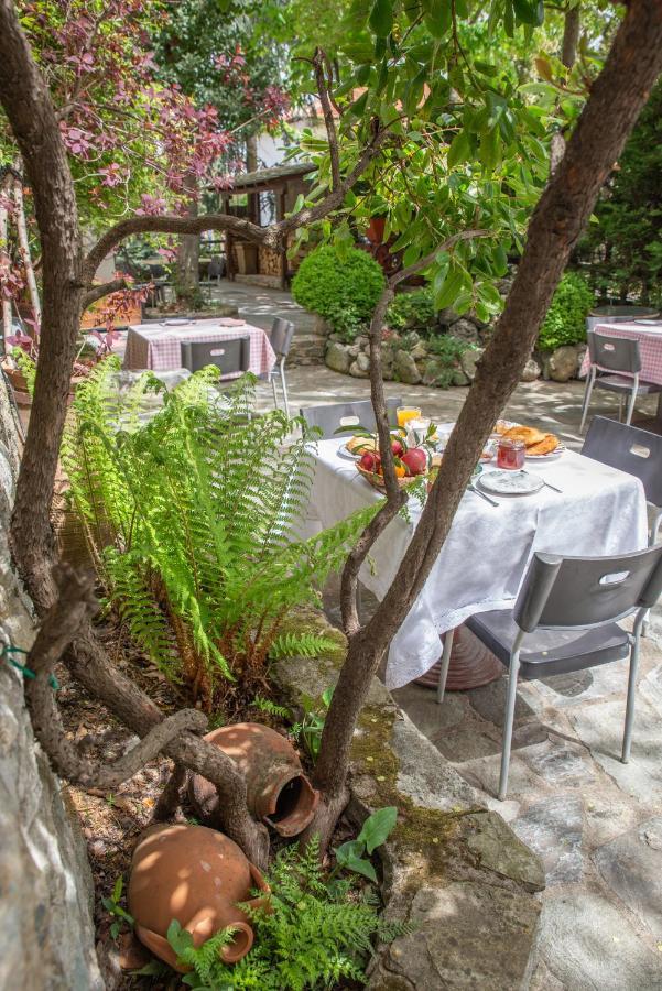 Archontiko Stamou Hotel Zagora