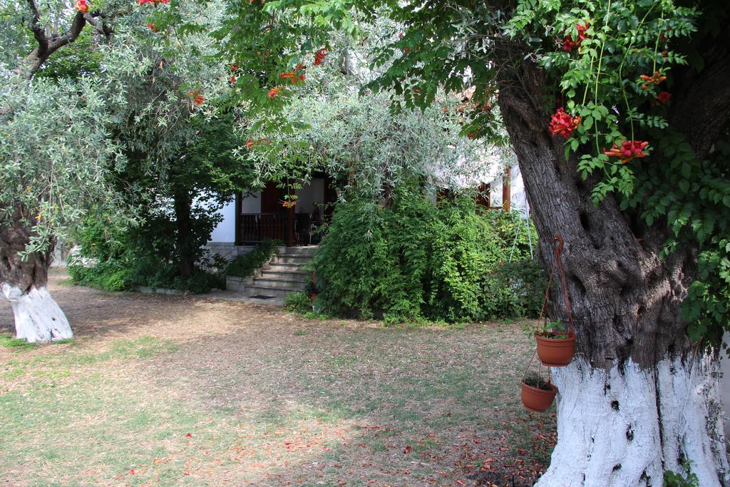 Patroudis House Apartment Skala Rachoni (Thasos)