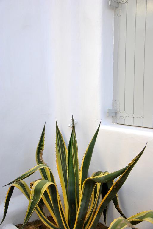 Riva Suites - Adults Only * Mykonos Town