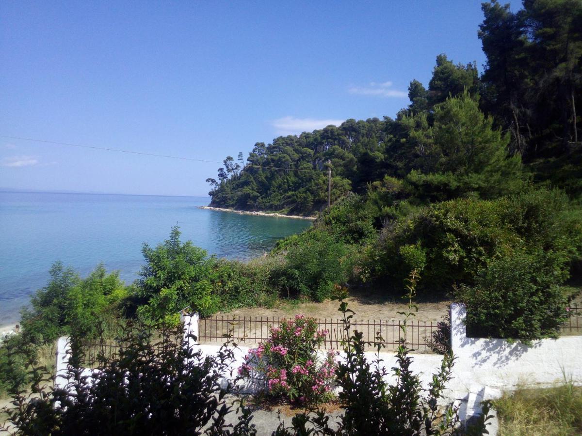 Sea & Forest Kallithea (Chalkidiki)