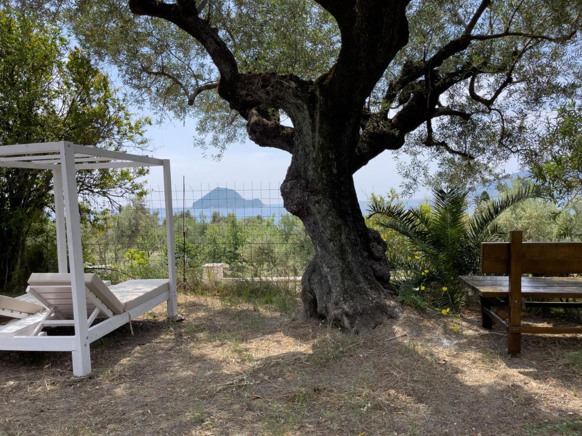 Anta House By The Sea * Lithakia (Zakynthos)