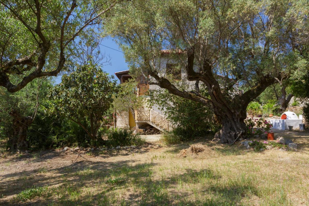 Anta House By The Sea * Lithakia (Zakynthos)
