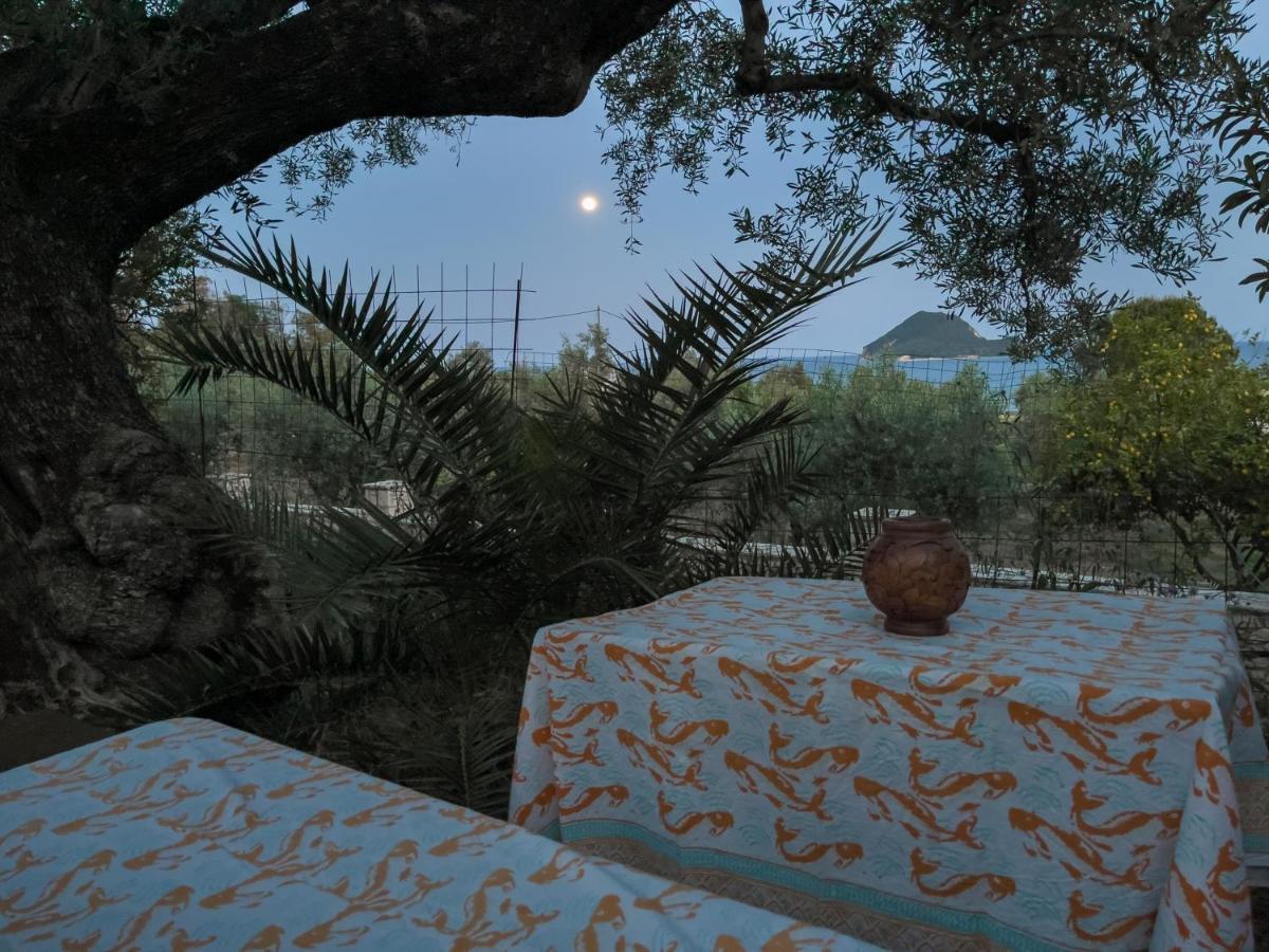 Anta House By The Sea