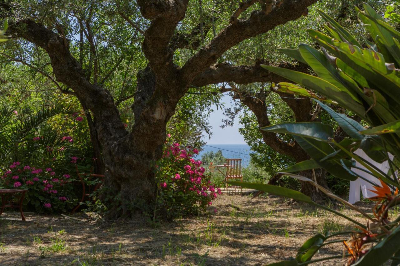 Anta House By The Sea Villa Lithakia (Zakynthos)