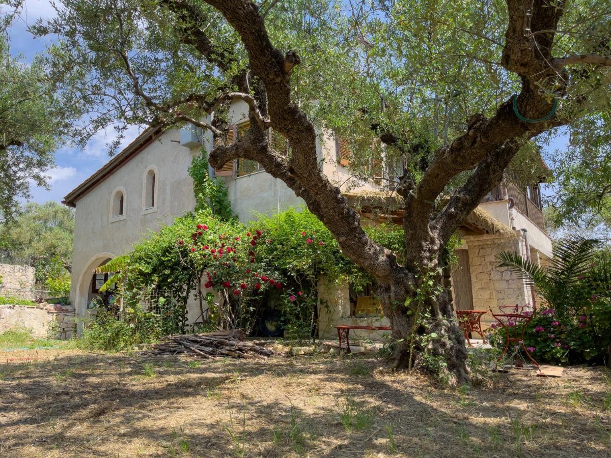 Villa Anta House By The Sea Lithakia (Zakynthos)