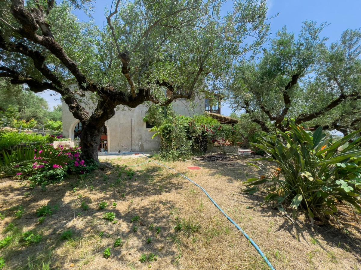 Villa Anta House By The Sea Lithakia (Zakynthos)