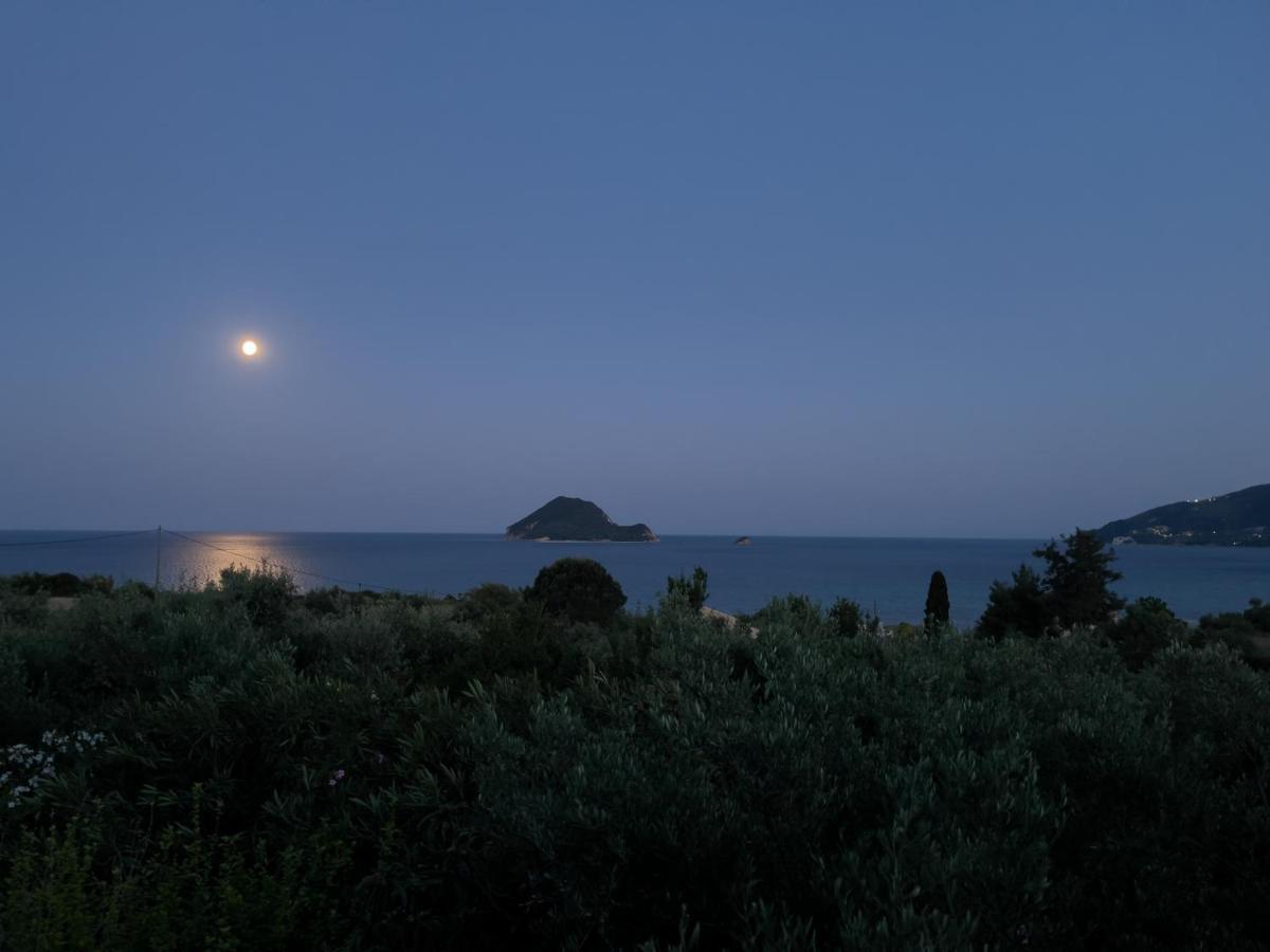 Anta House By The Sea Lithakia (Zakynthos)