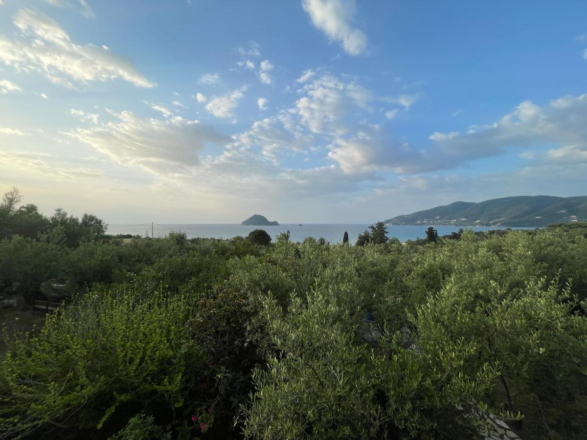 Anta House By The Sea