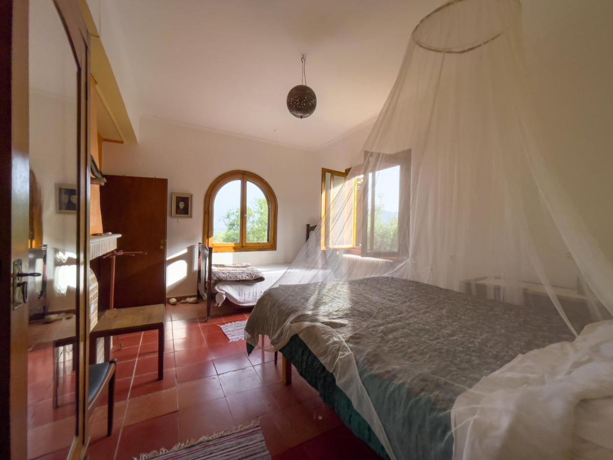 Anta House By The Sea Villa *