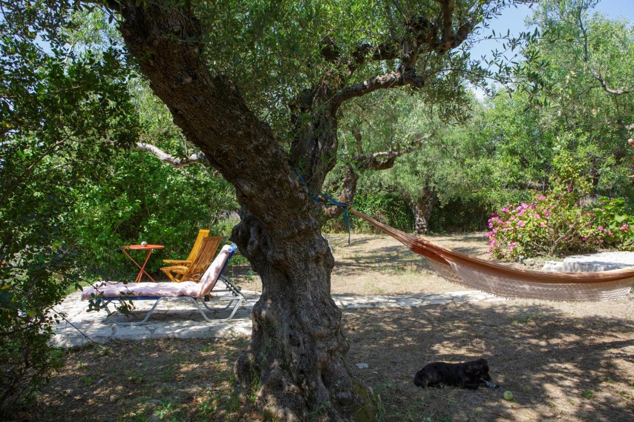 Anta House By The Sea *