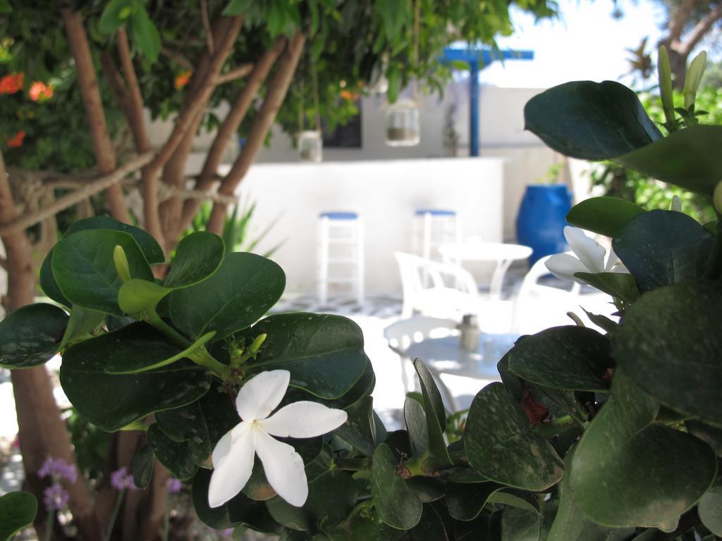 Angelina Apartment Parikia (Paros)