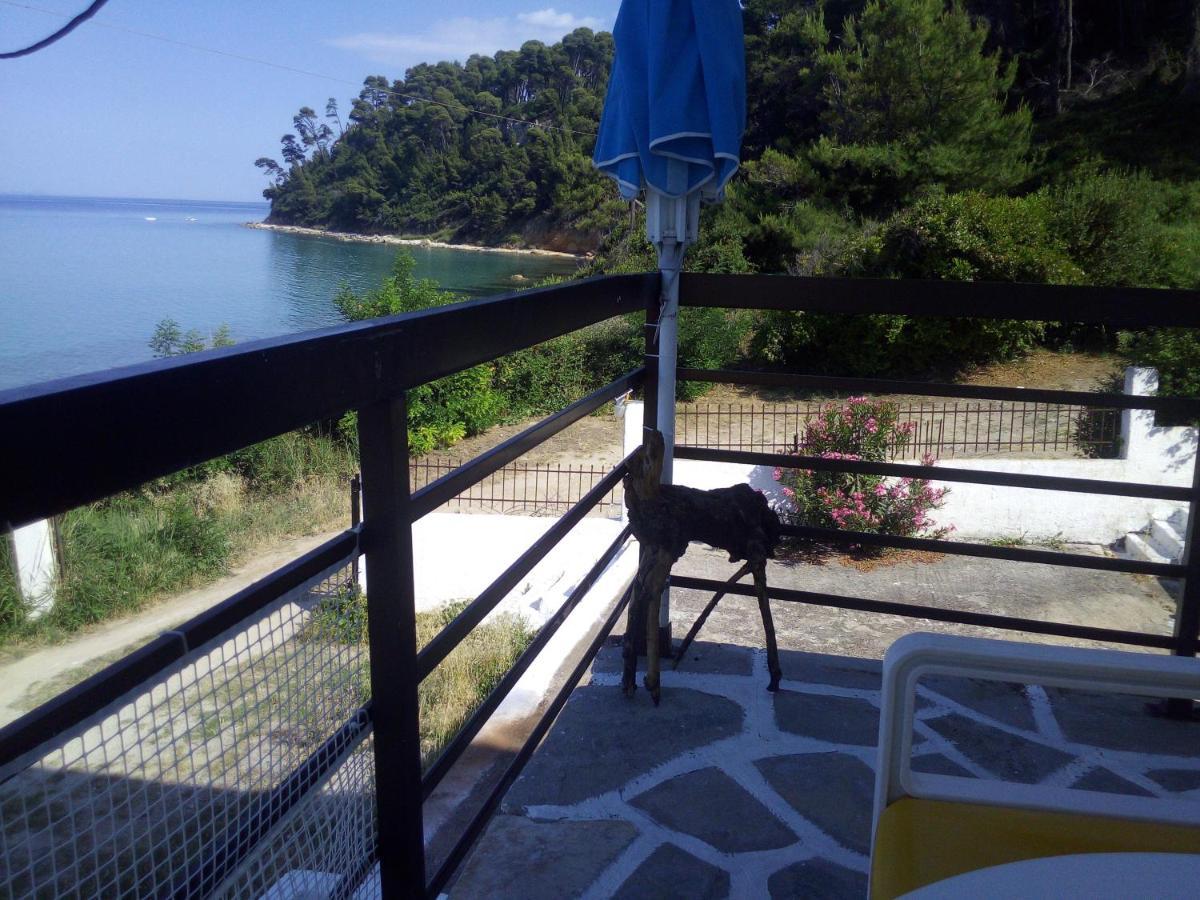 Sea & Forest Apartment