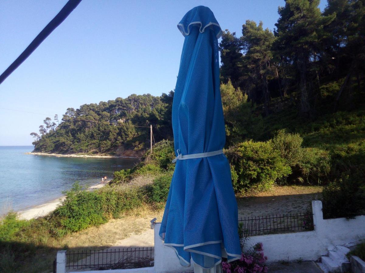 Apartment Sea & Forest Kallithea (Chalkidiki)