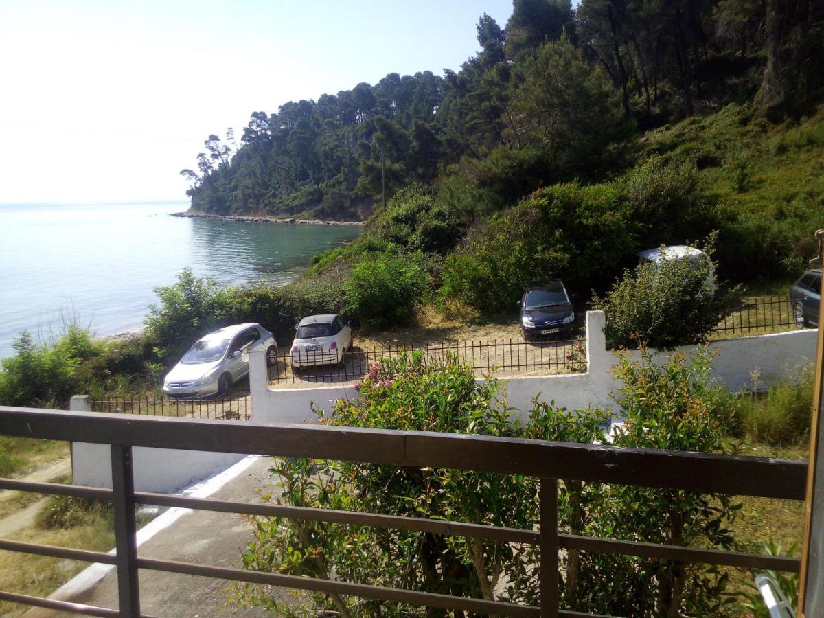 Sea & Forest Apartment
