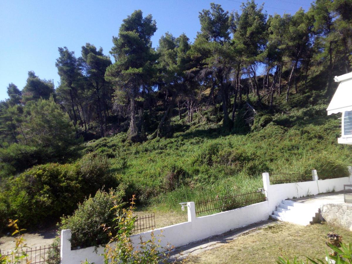 Apartment Sea & Forest Kallithea (Chalkidiki)
