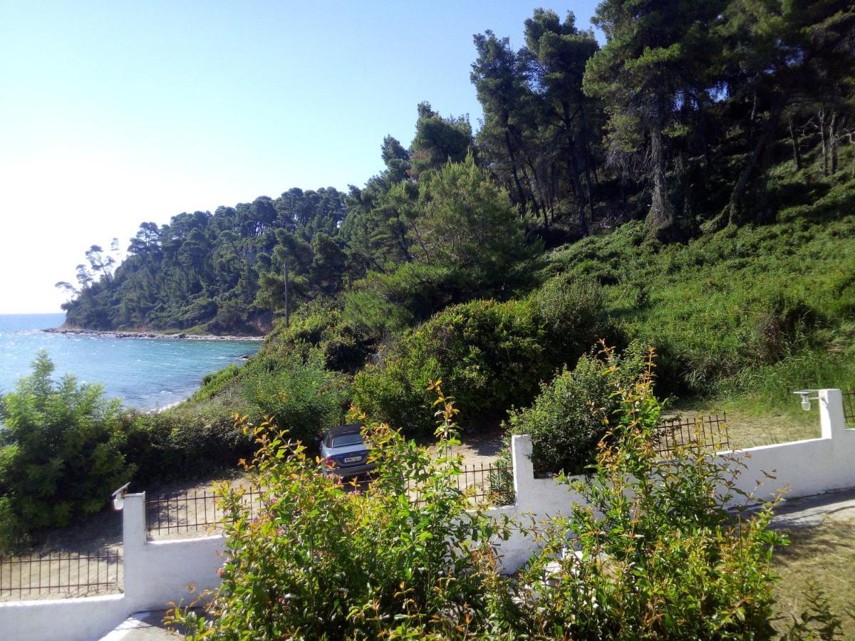 Apartment Sea & Forest *
