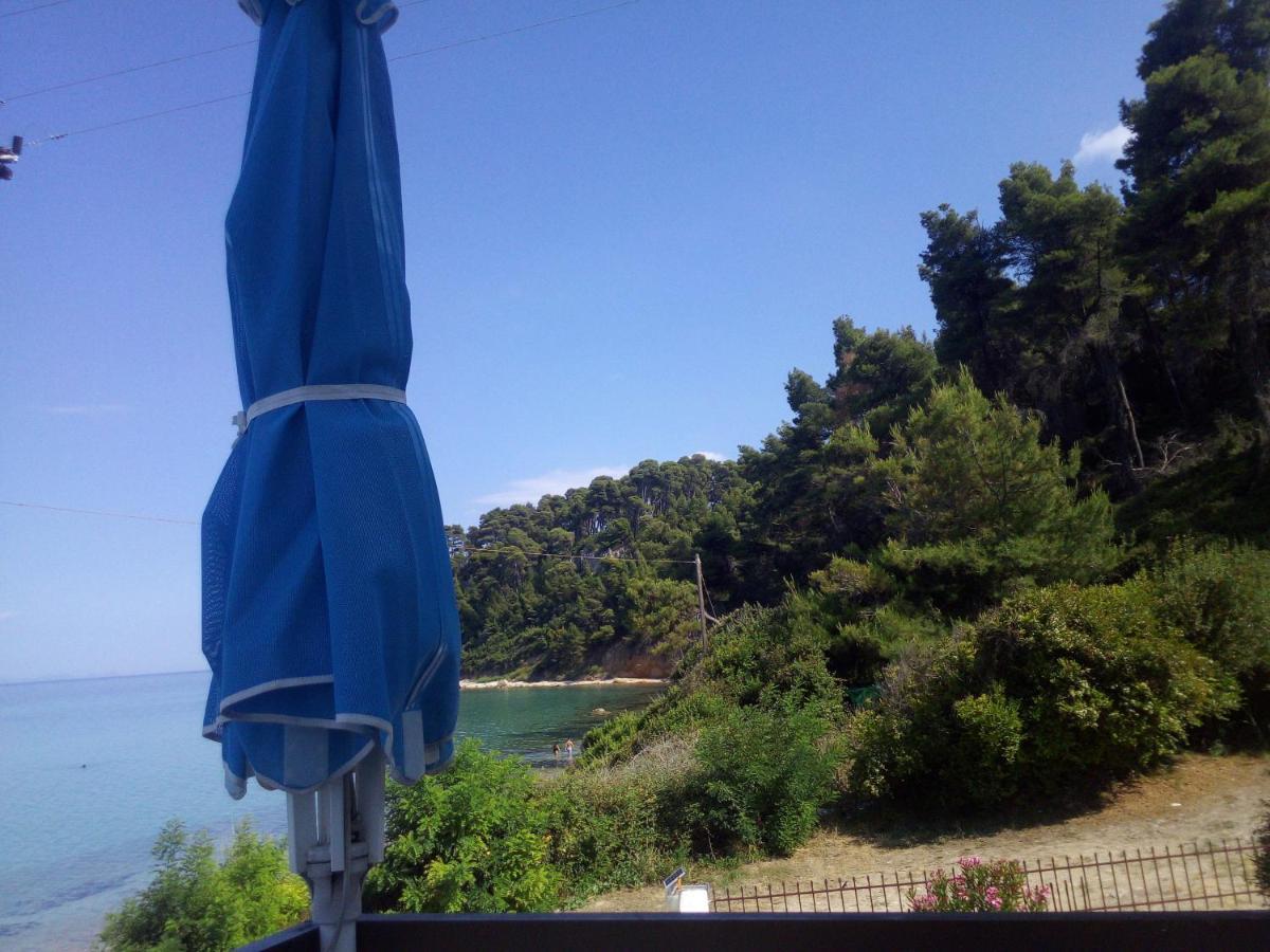 Sea & Forest *