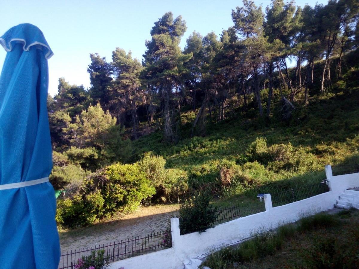 Apartment Sea & Forest Kallithea (Chalkidiki)