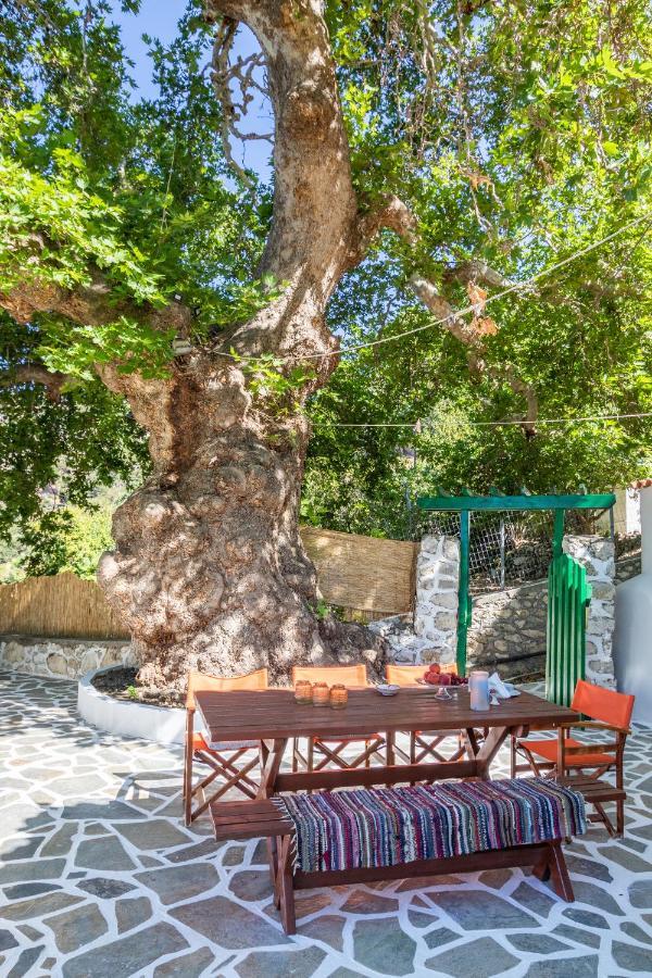 Mertonas Kyra Panagia