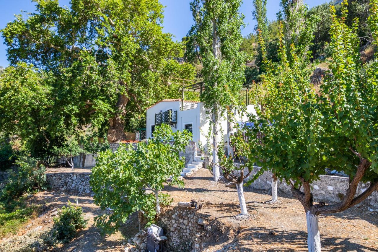 Country house Mertonas