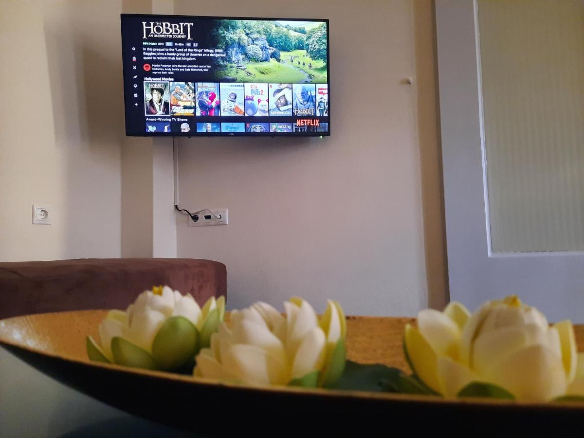 Fz2 Apartment