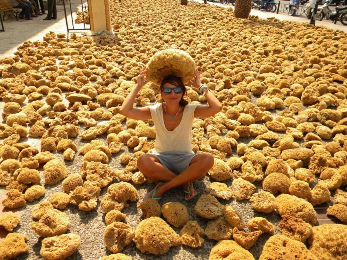 Poets Apertment In Armeos * Masouri
