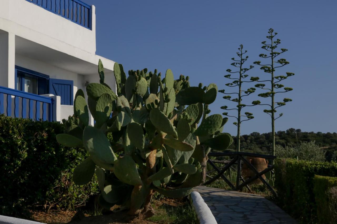 Agionissi Ammouliani