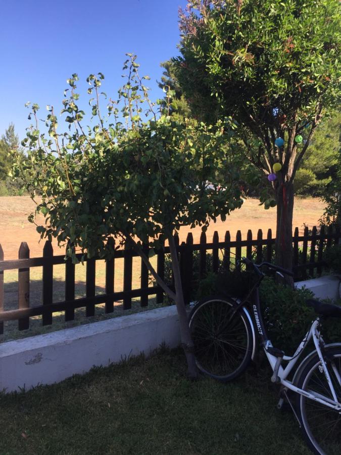The House With The View Nikiti (Sithonia)