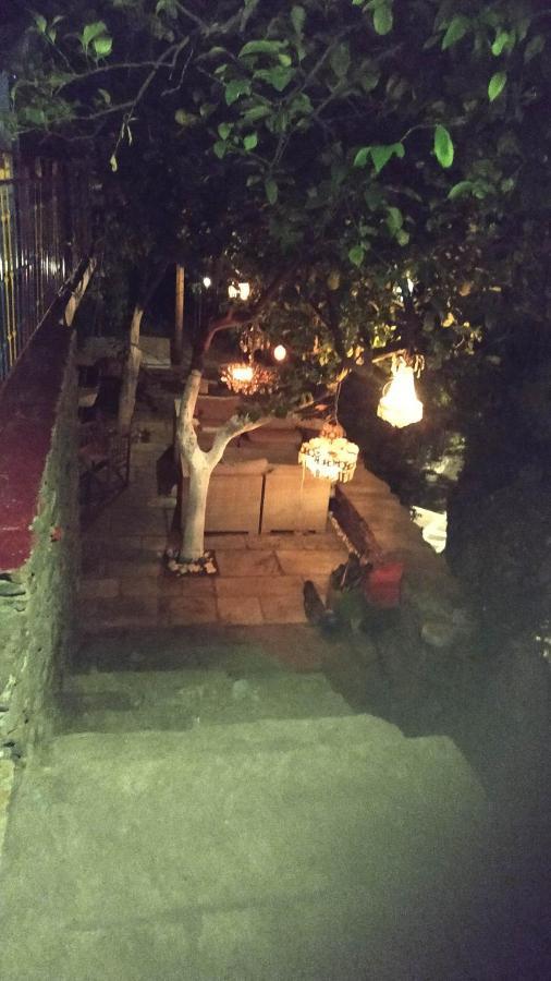 Lemon Tree House