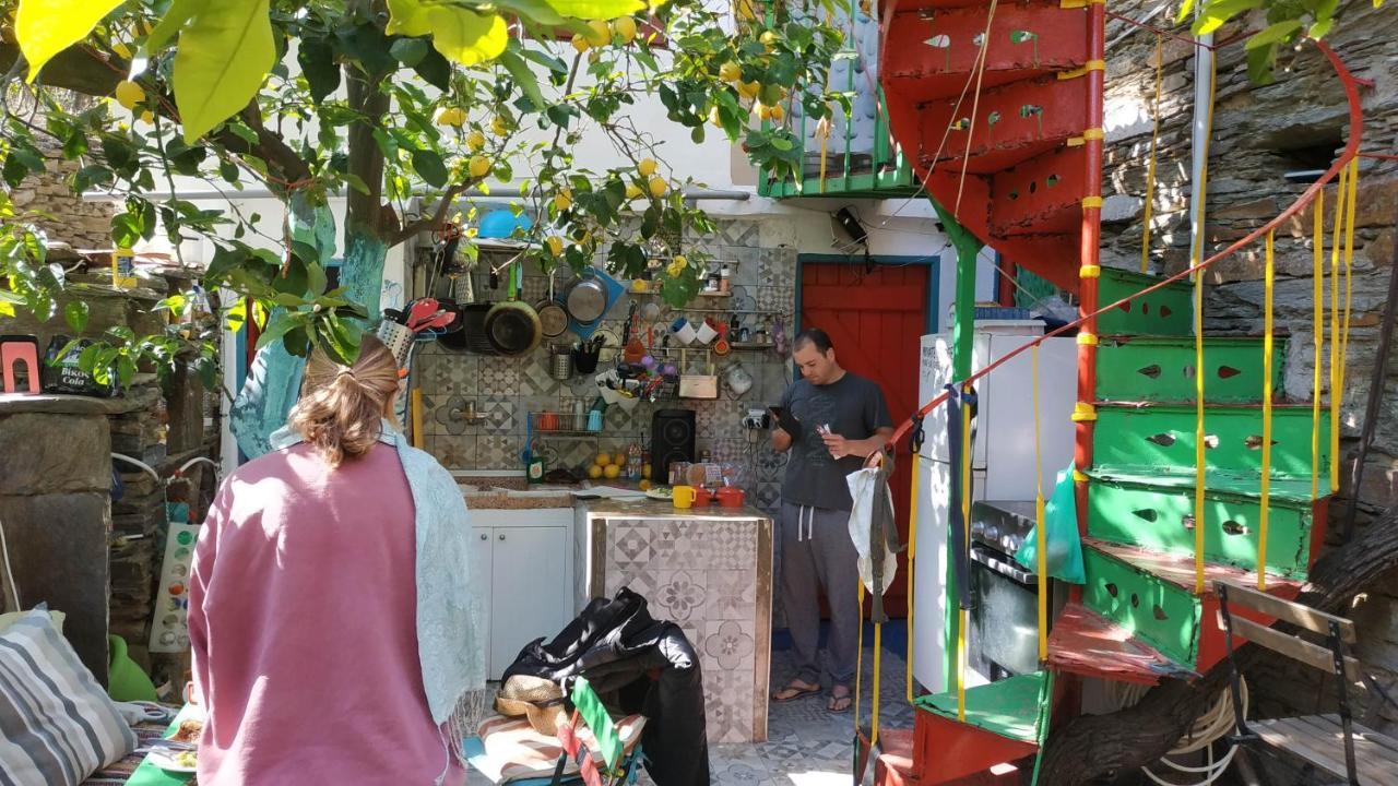 Hostel Lemon Tree House *