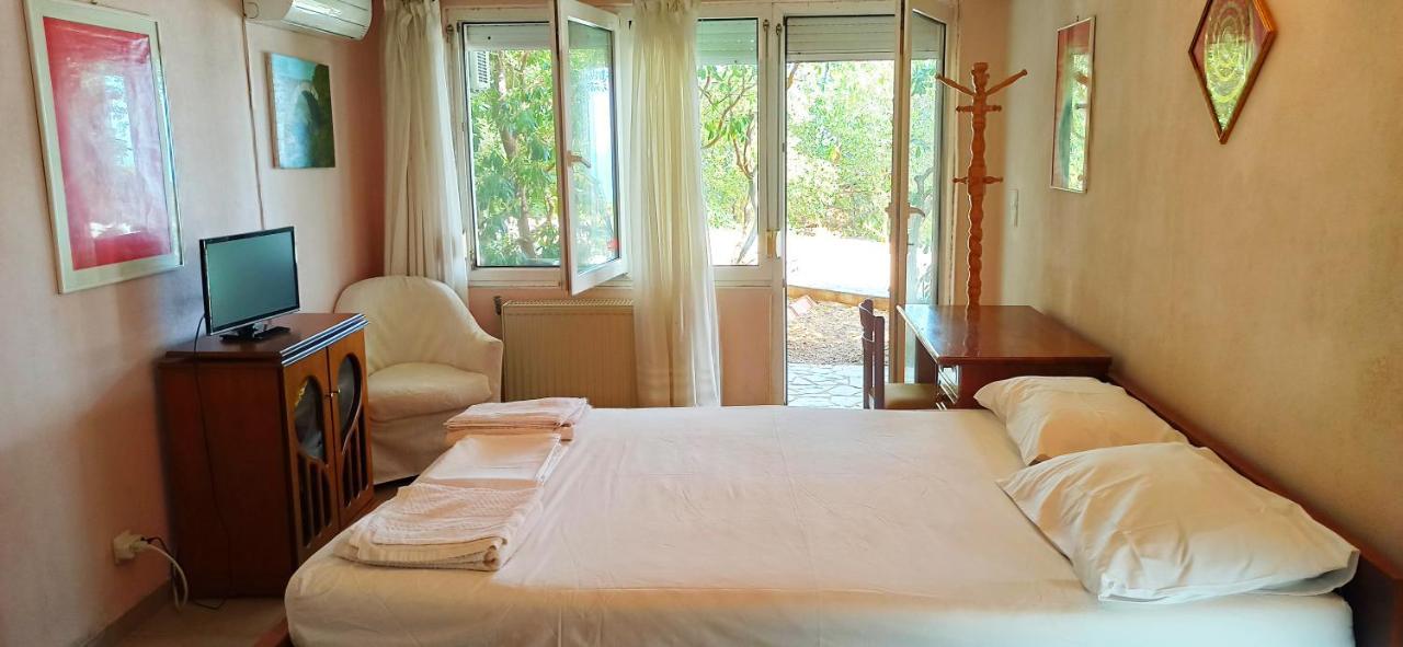 Spacious With Garden And Seaview *