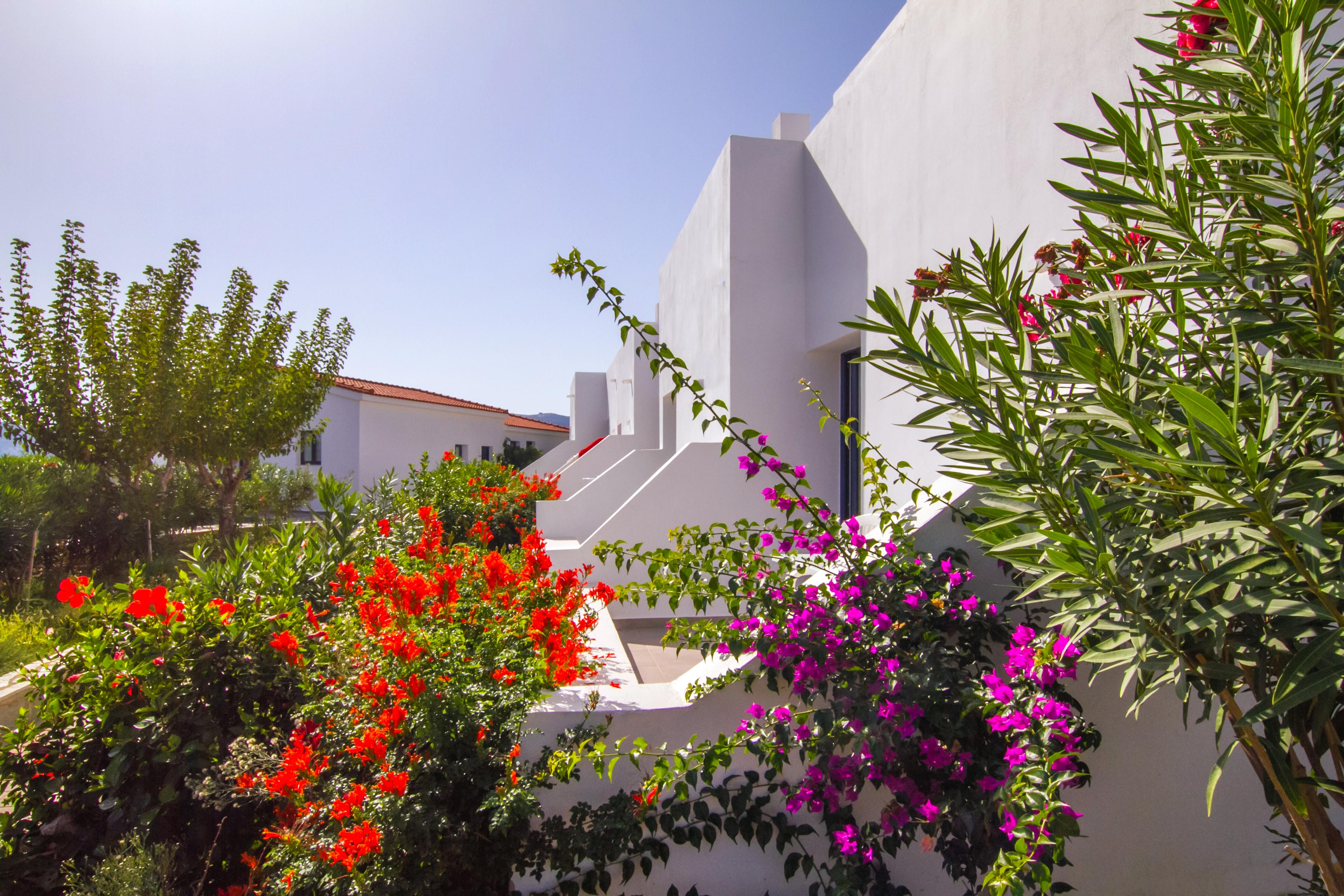 Peninsula & 4* Agia Pelagia (Crete)