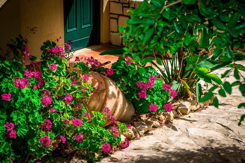 Hotel Dream Village Hersonissos (Crete)