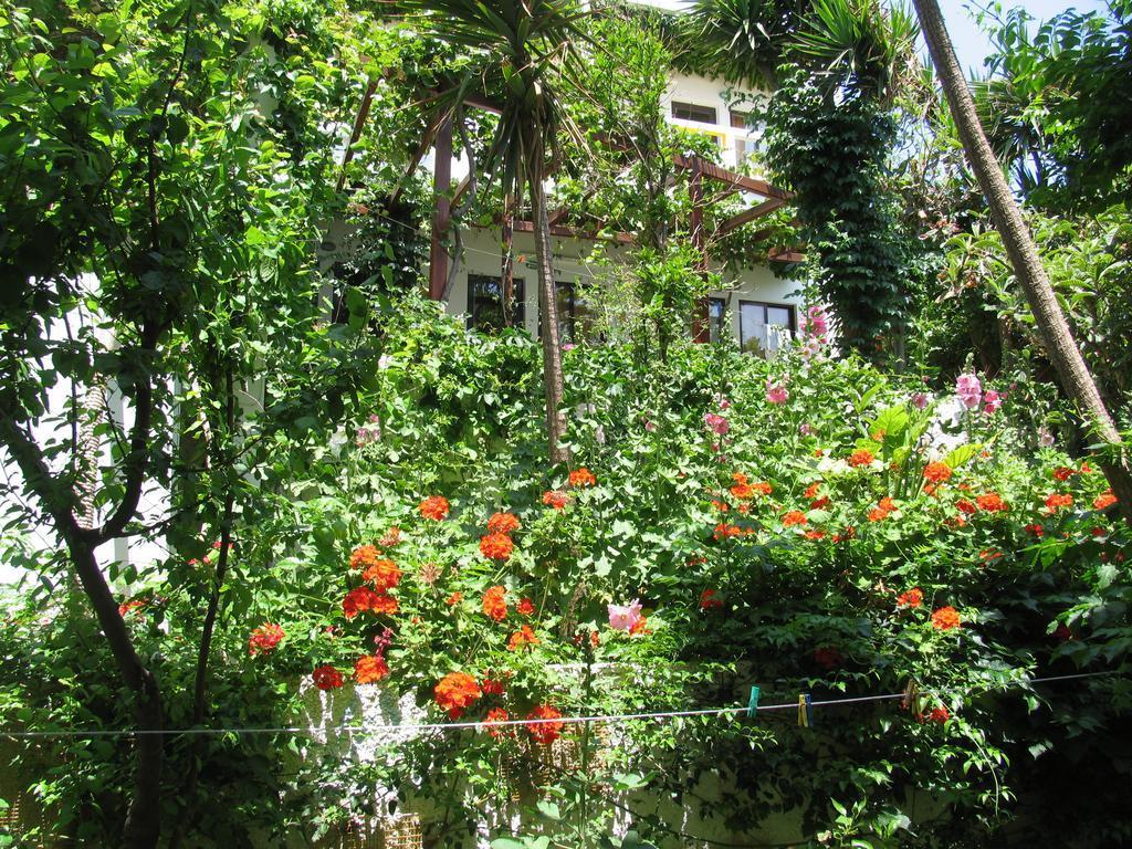 Aris Boutique 3* Palaiochora