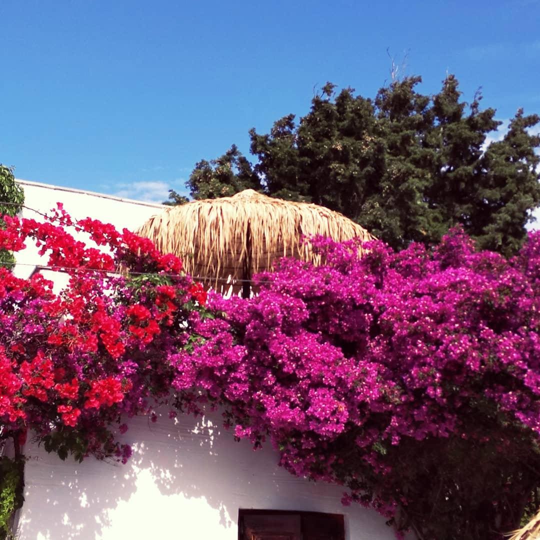 Naxos Summerland 3*