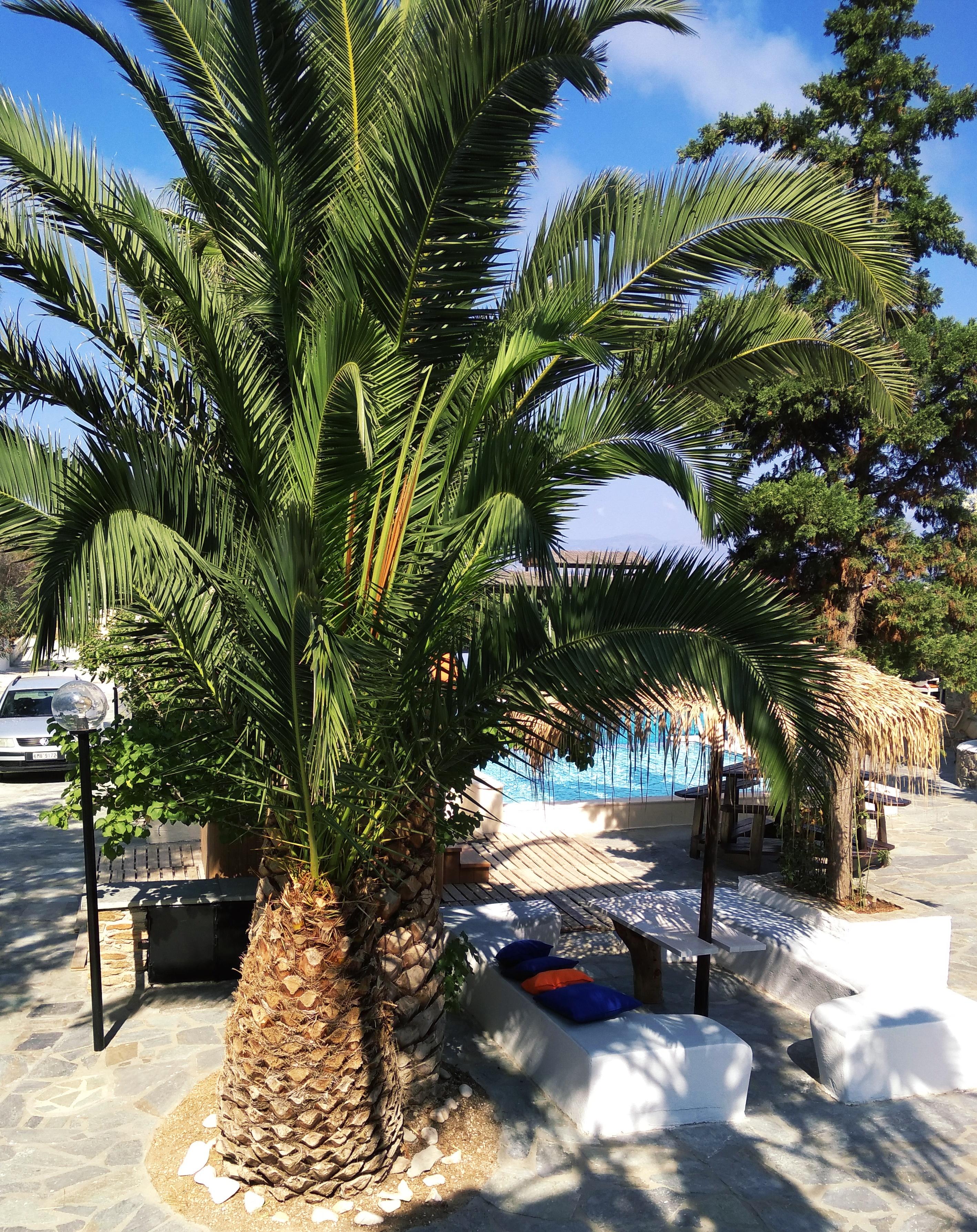Naxos Summerland 3*
