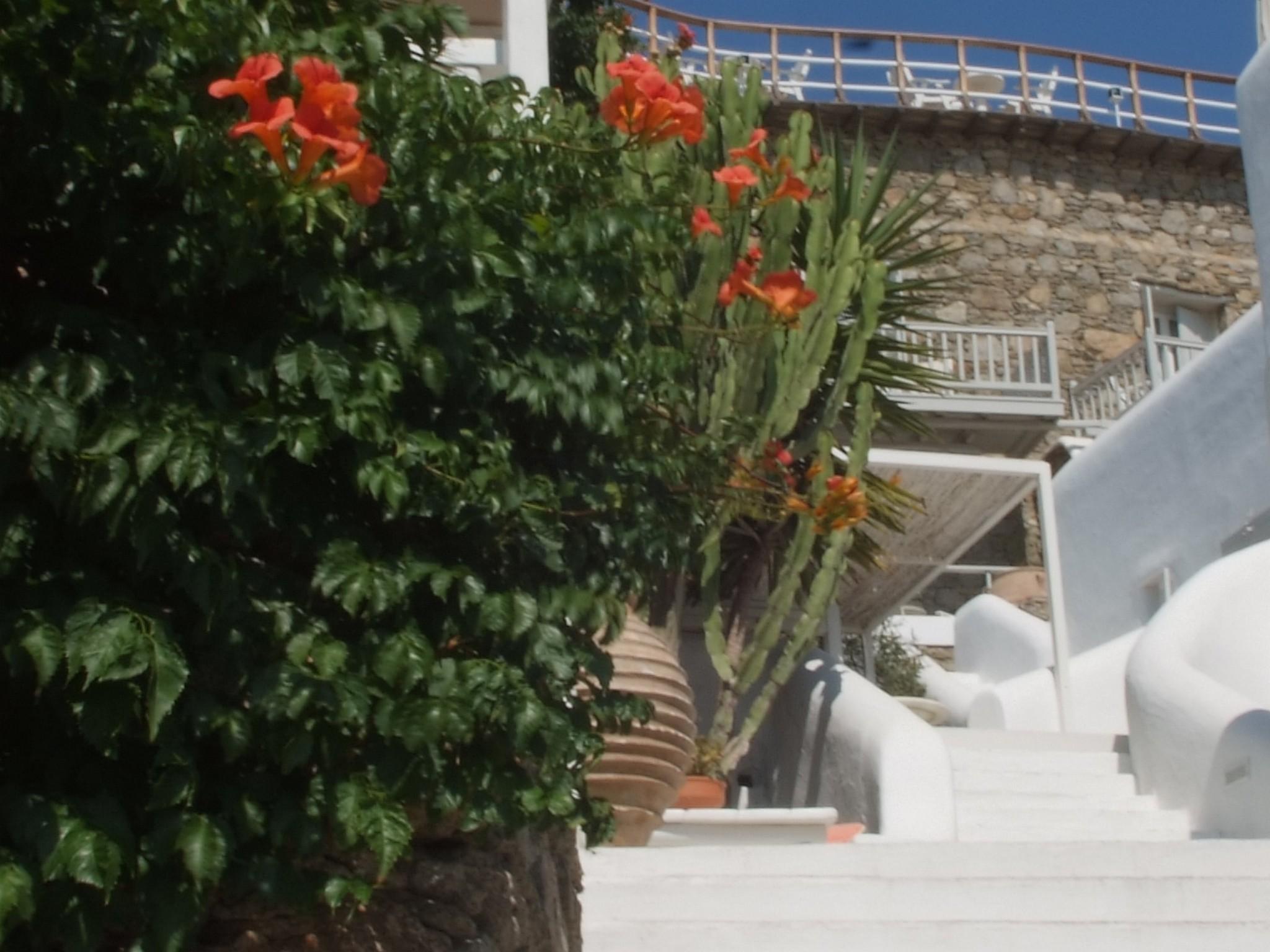 Mykonos View Mykonos Town