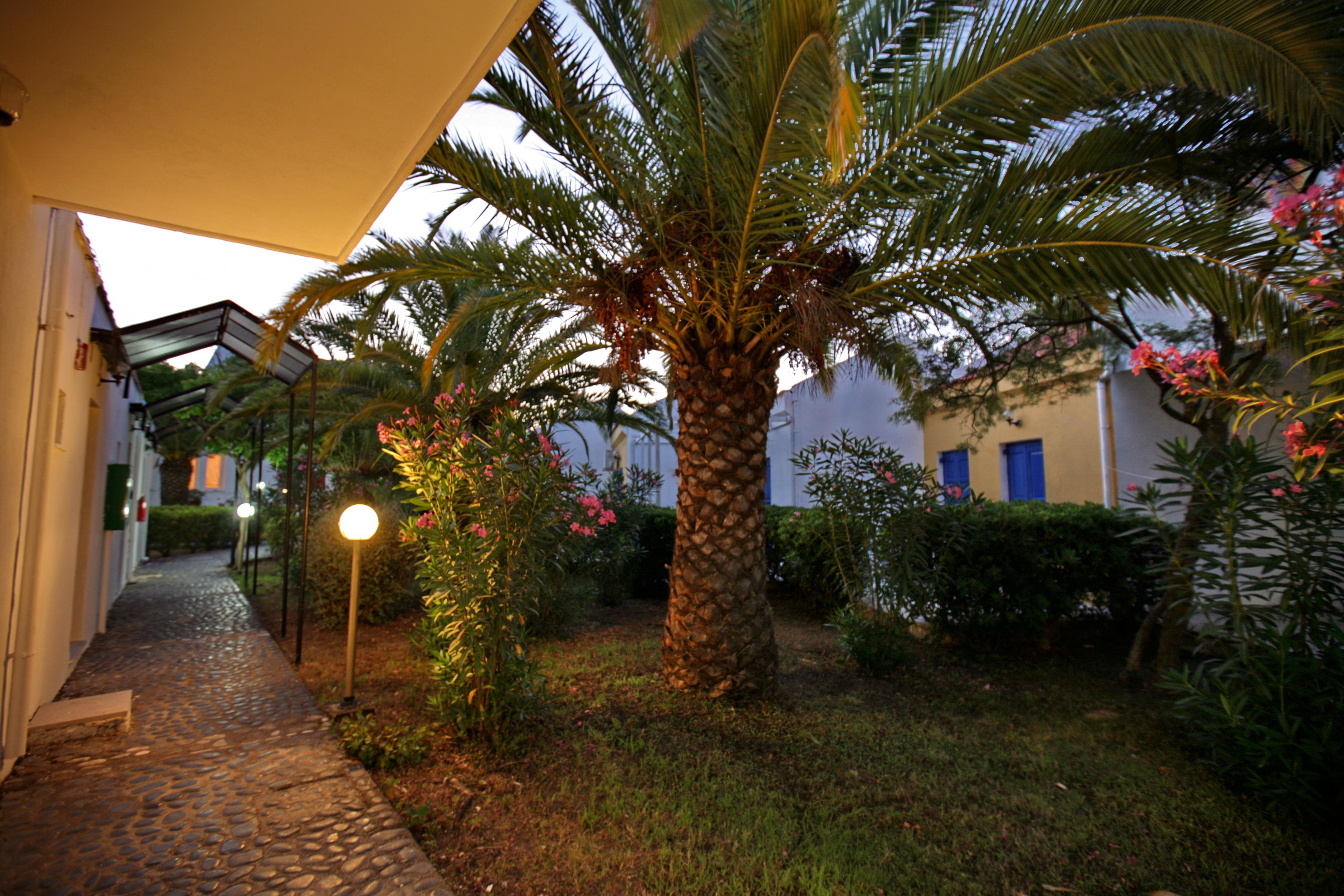 Hotel Aegeon Skala Kallonis