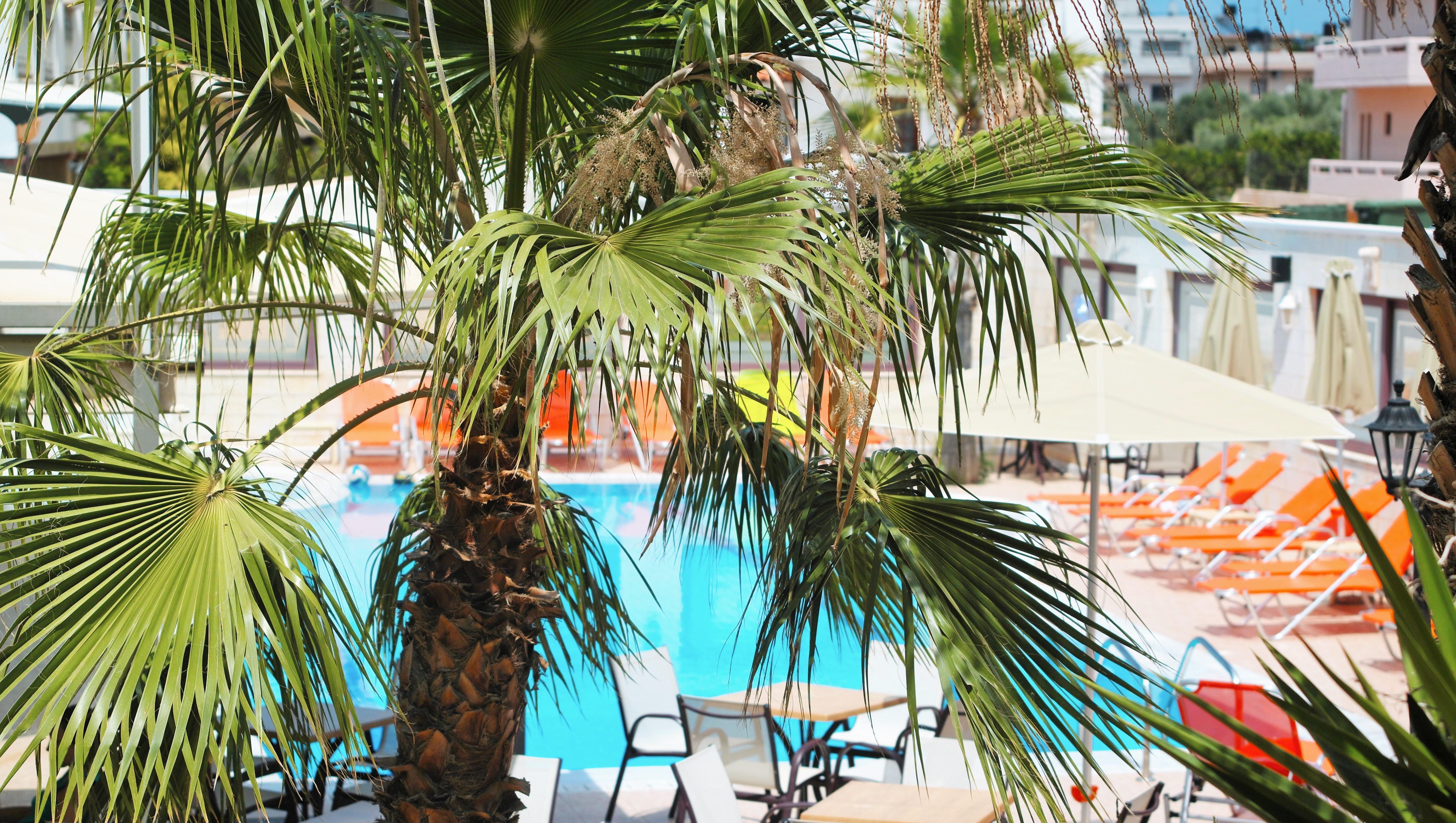 Apartment Bella Elena By Estia Malia (Crete)