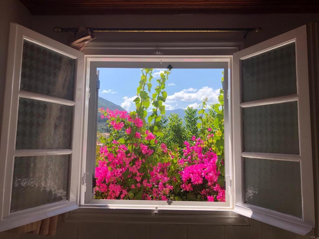 Tilde On The Beach, Apts - Kefalonia Apartment