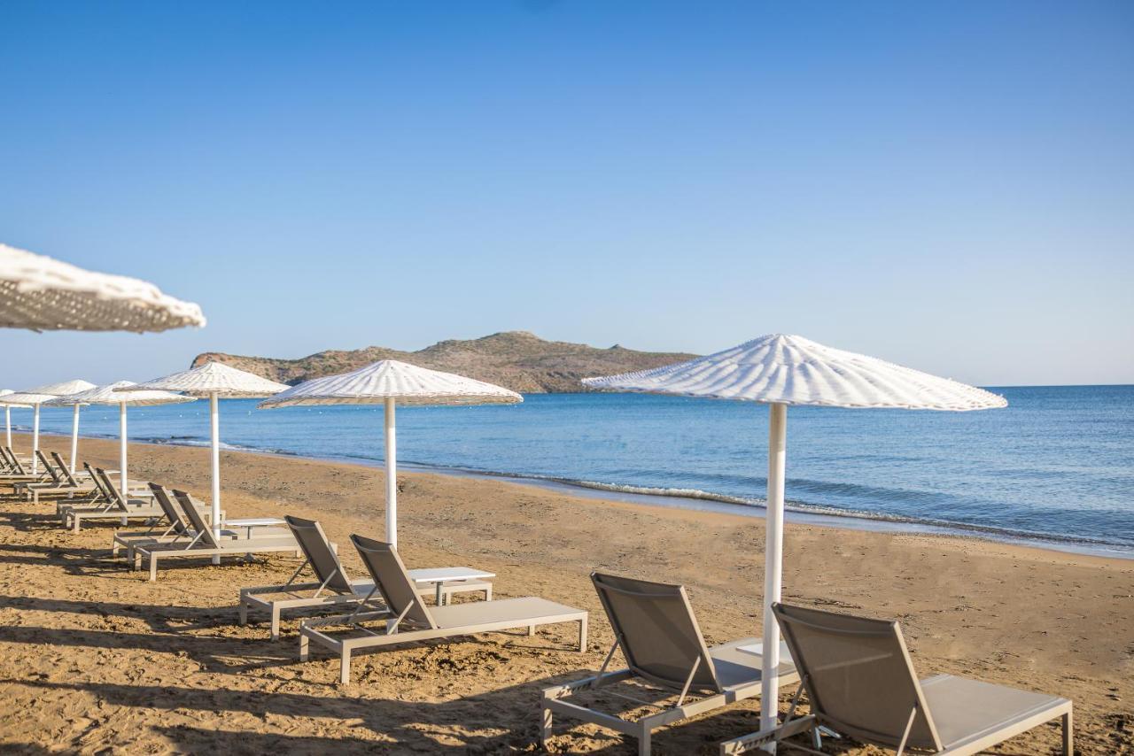 Resort Giannoulis - Santa Marina Plaza (adults Only) Agia Marina (Crete)